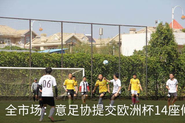 全市场：意足协提交欧洲杯14座候选球场资料