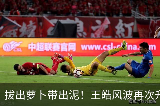 拔出萝卜带出泥！王皓风波再次升级，竟意外将半个饭圈拉下水