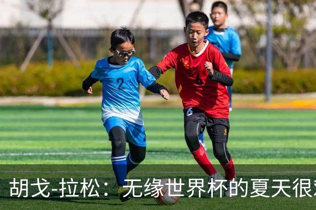 胡戈-拉松：无缘世界杯的夏天很难熬，好在我重新回到了瑞典队